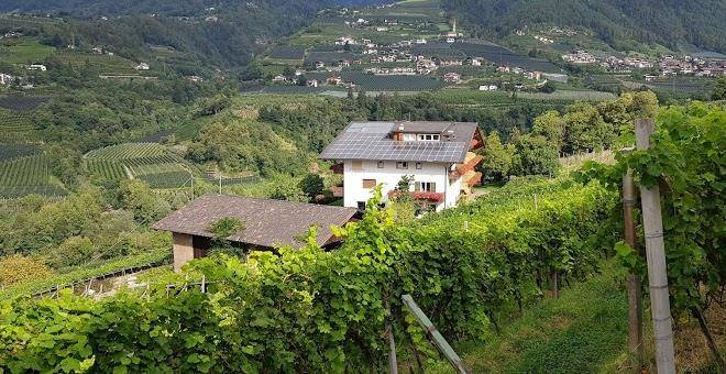 Pension petaunerhof