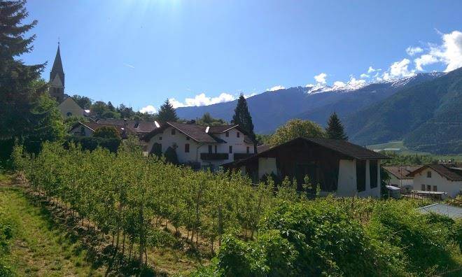 Pensione maria tavernini