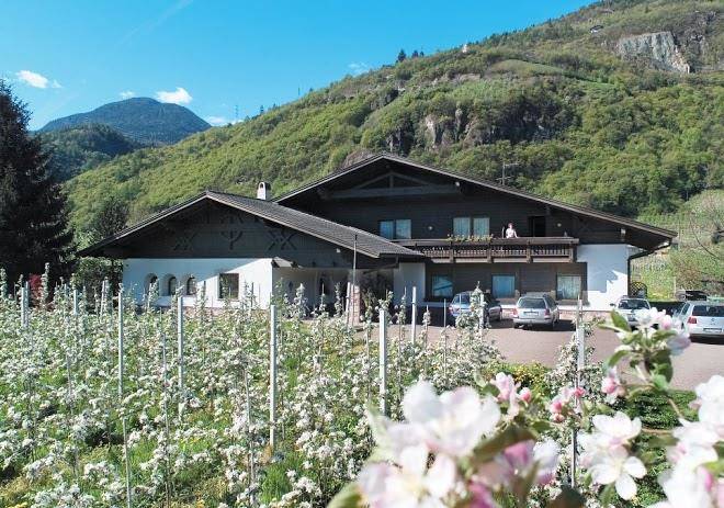 Residence freiberghof