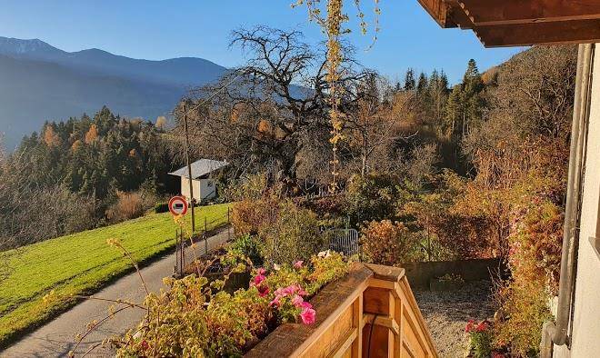 Saderhof Hofschank & Zimmer Image