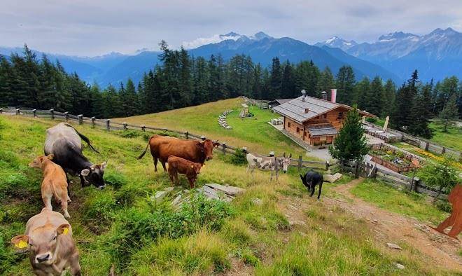 Schoenberg Alm Image