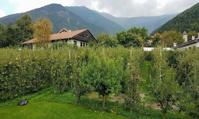 Siglgut farm holidays