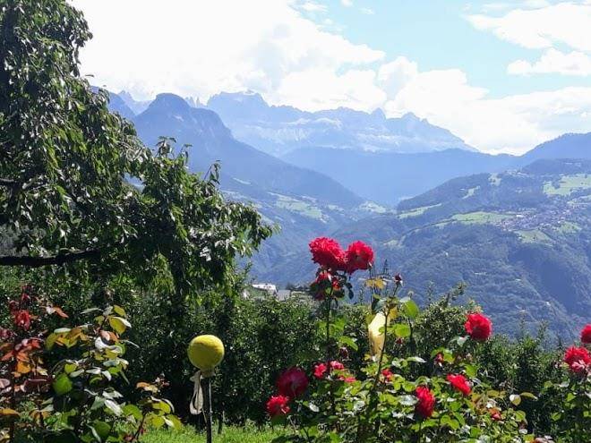 Stierlhof Am Ritten Image