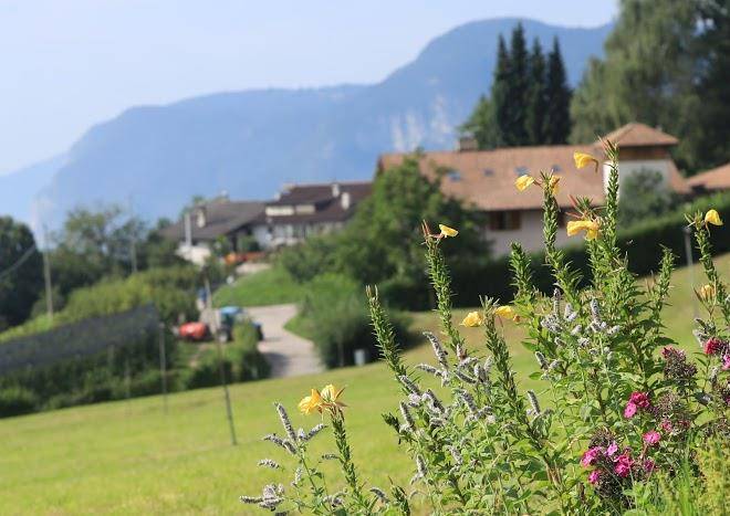 Ungererhof kurtatsch
