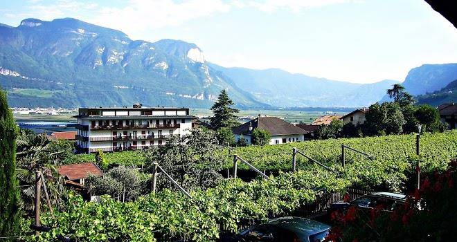 Wiesenheim