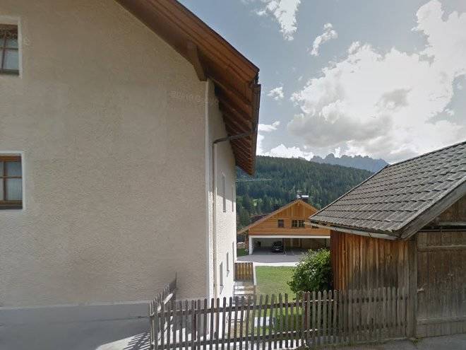 Zimmer glucksklee