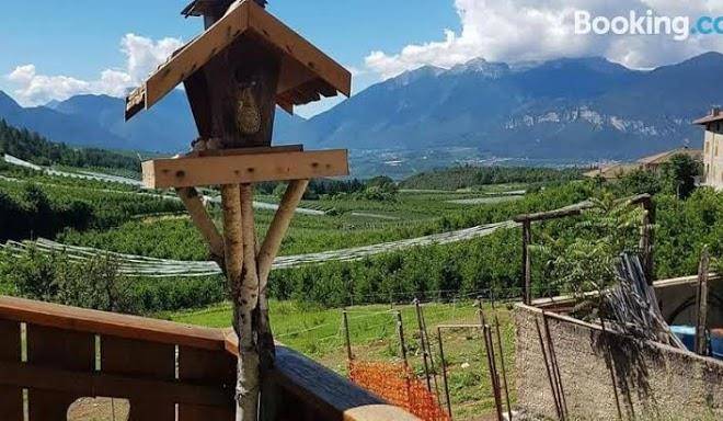 Agritur coryletum