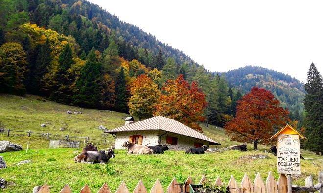 Agritur malga nambi