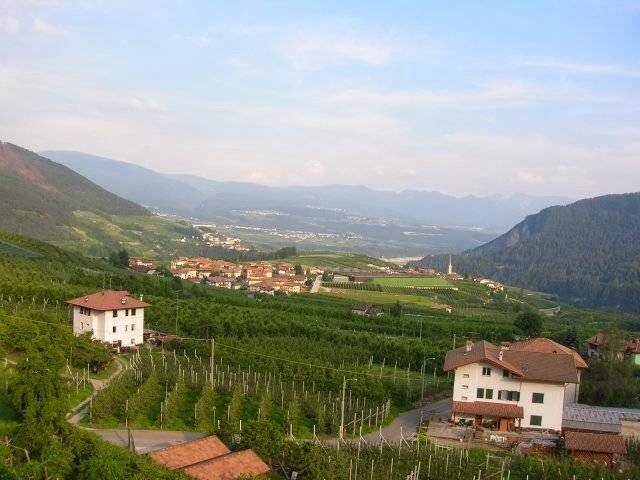 Agritur monte pin