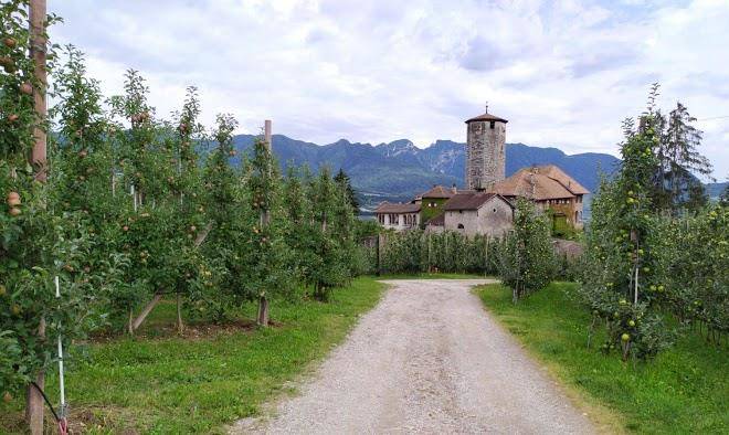 Agritur Odorizzi Image