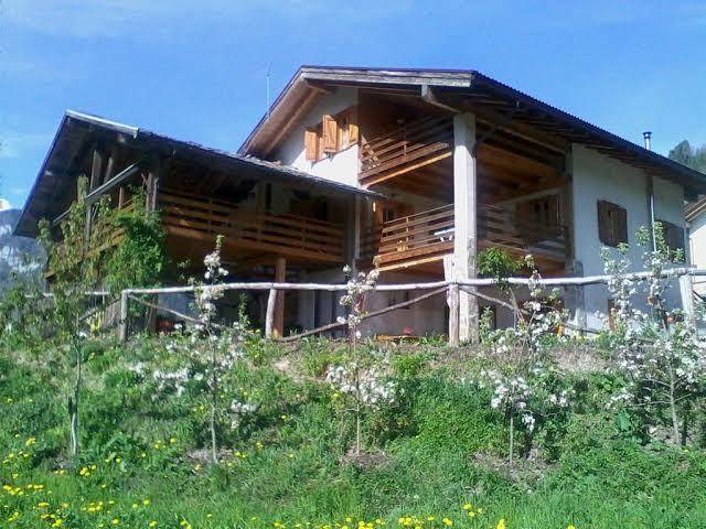 Agritur scarena