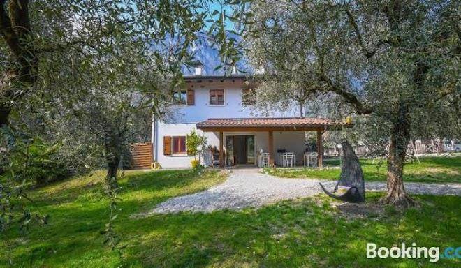 Agriturismo fiore d'ulivo