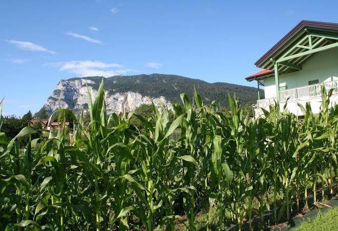 Agriturismo florandonole