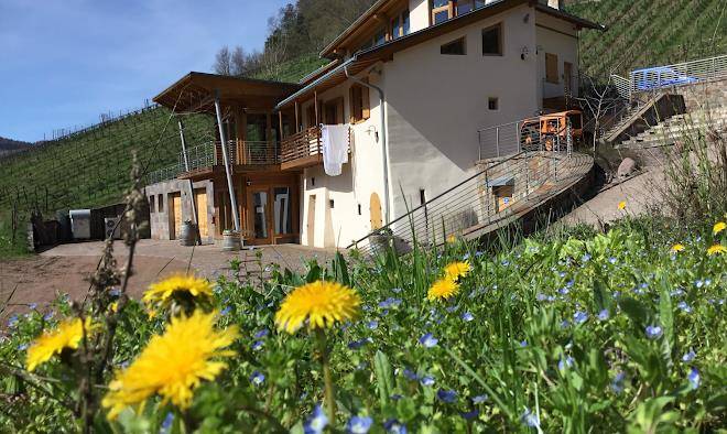 Agriturismo maso besleri bed and breakfast