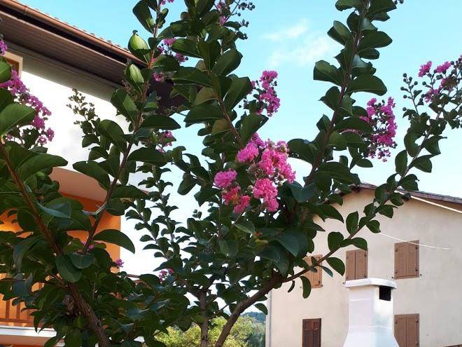 Albergo ristorante passo buole