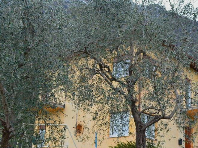 B&b la stella