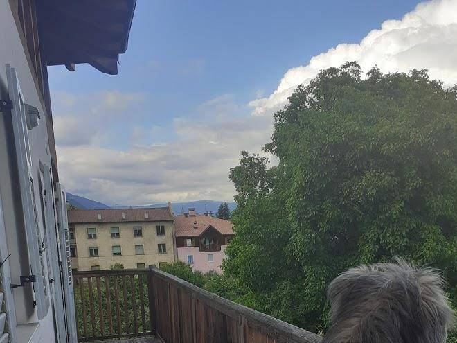 B&b las vegan
