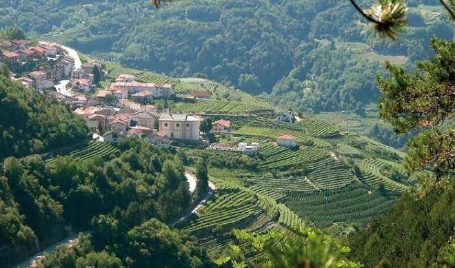 Fior di bosco albergo ristorante