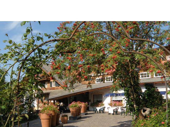 L'hotel grunwald cavalese