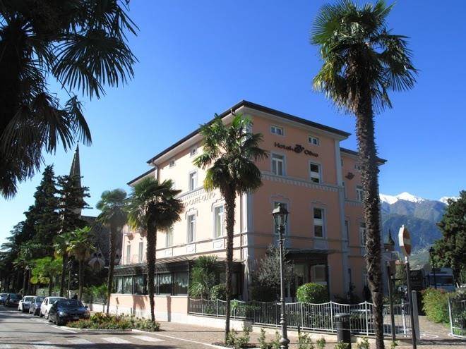 Hotel olivo upgarda hotels