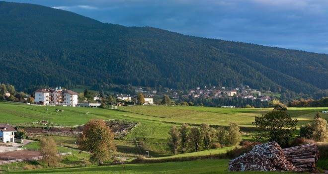 Hotel Rosa Resort Image