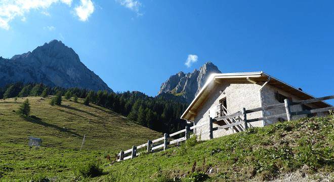 Malga tuena