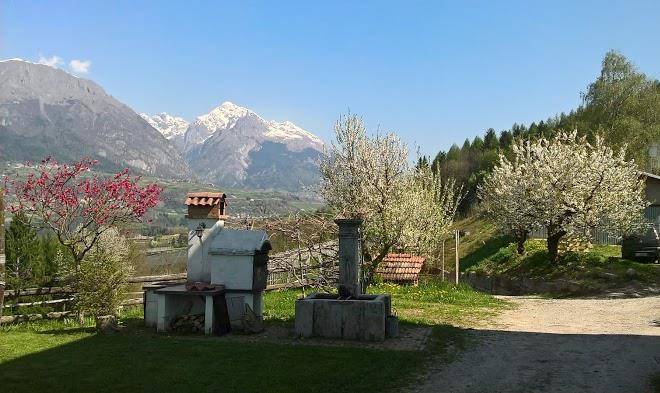 Maso maserac az agricola