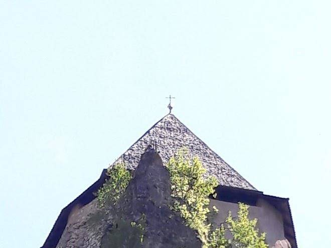 Maso palu