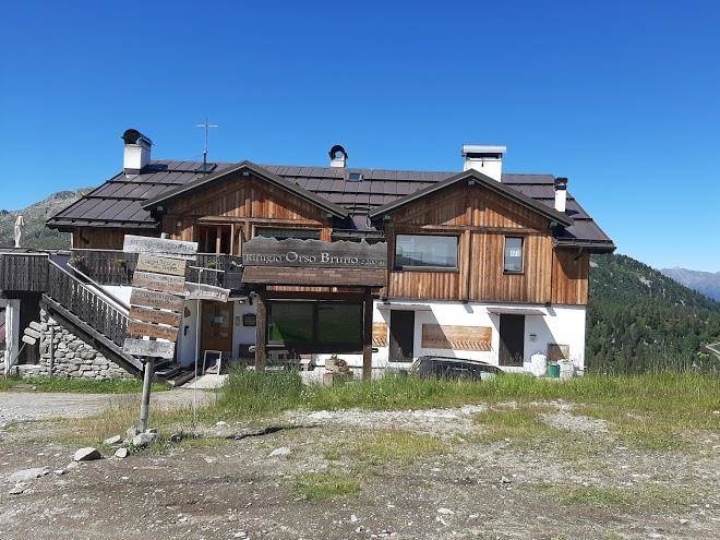 Rifugio orso bruno