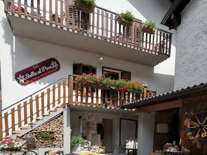 Stella Al Pina Image