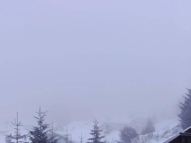 Tonale 3