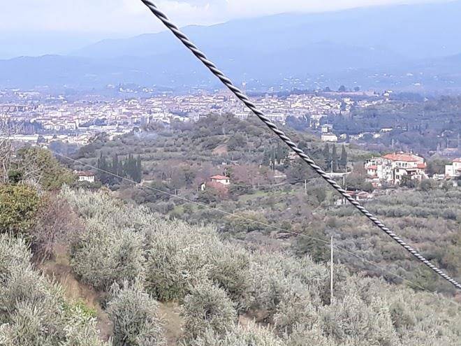 52cento country