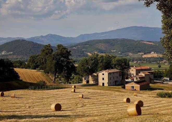Agriturismo podere tovari