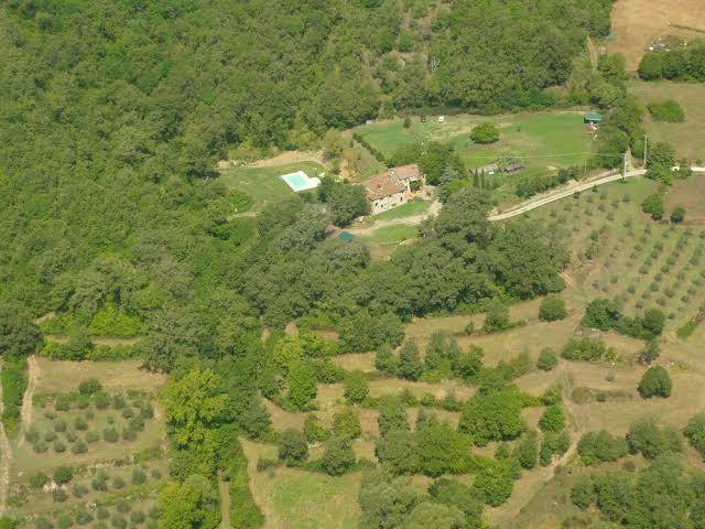All'antico silbule
