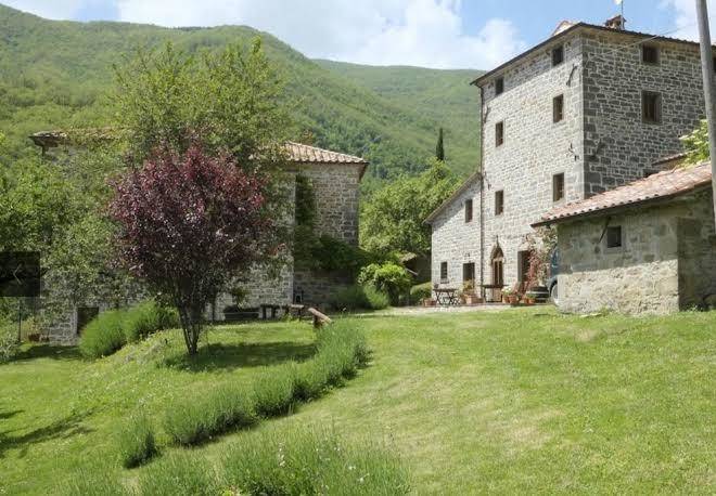 Bio agriturismo il vigno