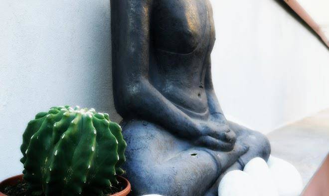 Biobenessere b&b