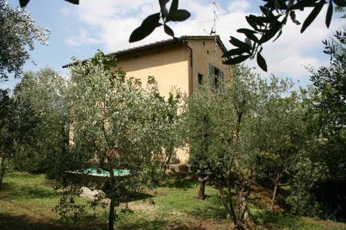 Collina dei fiori