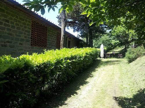 Fattoria il praticino