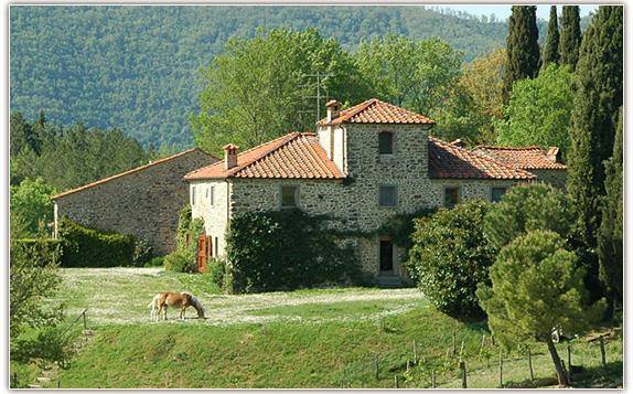 Fattoria il trebbio