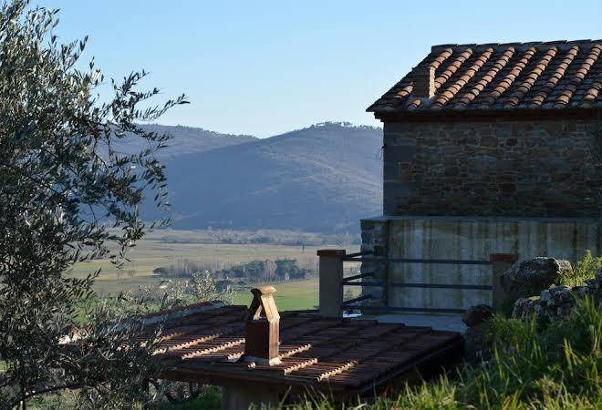 Fonte comelia
