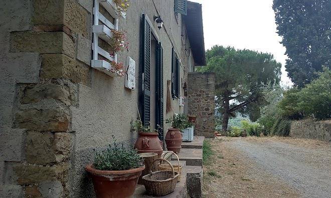 Il faggeto