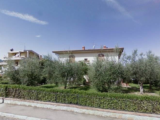 Il nespolo