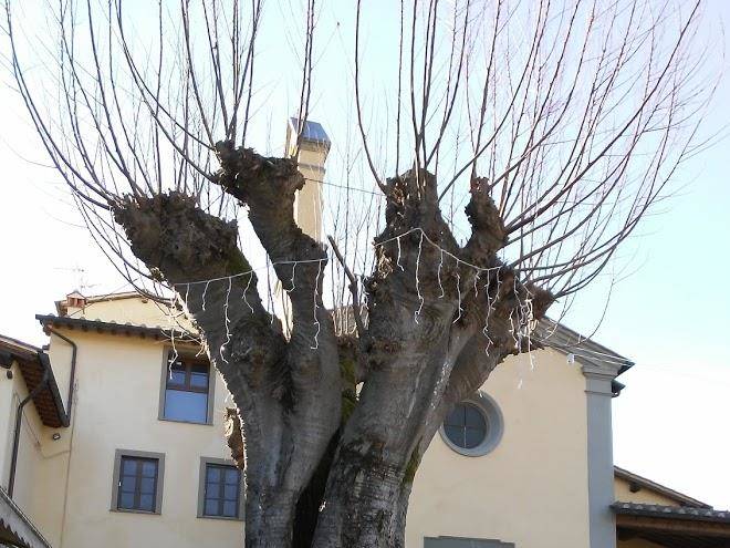 La castellaccia