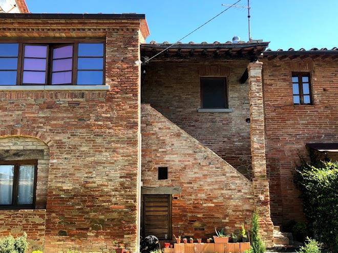La corte degli ulivi