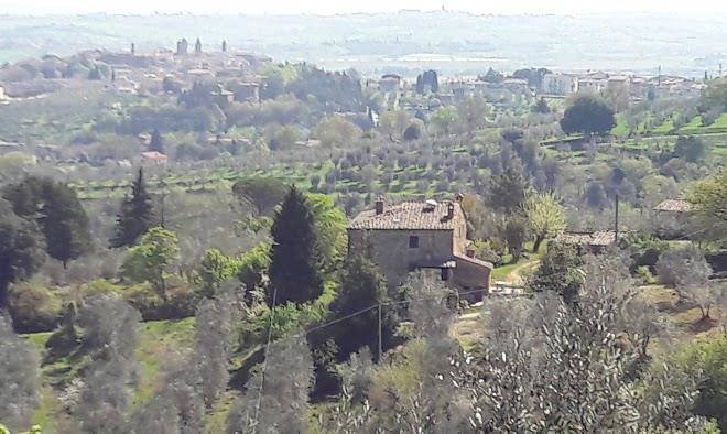 Le tre casce