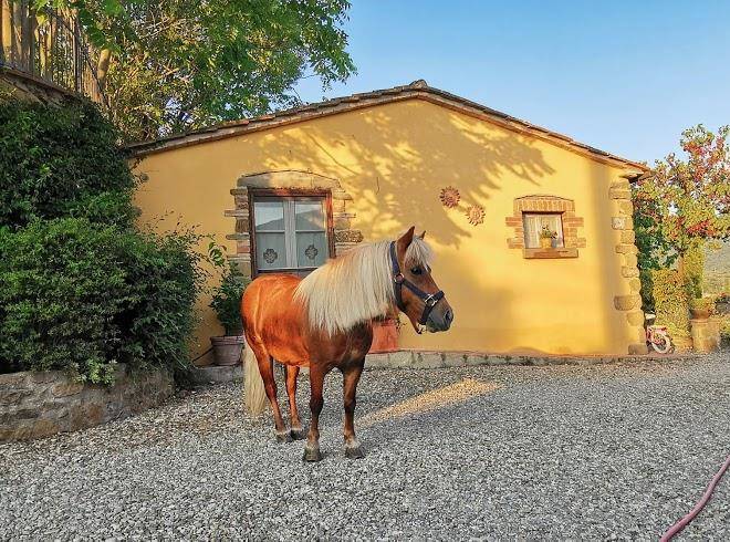 Margherita holiday home