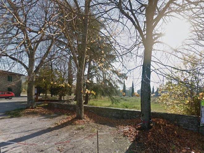 Nido degli ulivi