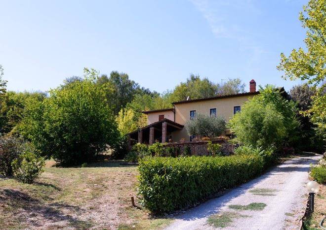 Nido di margherita
