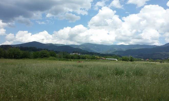 Podere vignoli