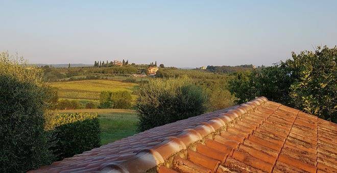 Selva degli ulivi